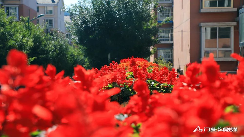 创城改善市容市貌提升城市形象,创城工作提升人居环境美篇