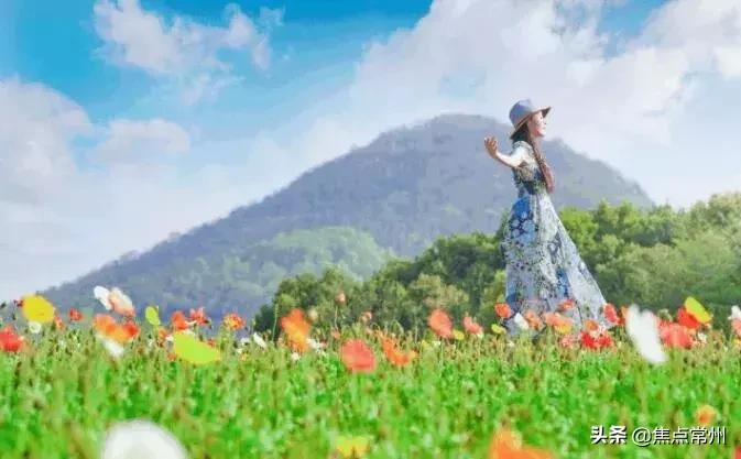 金坛适合一个人安静的地方,金坛的一个小镇