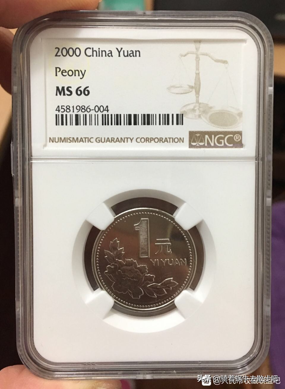 最值得收藏的外国硬币,泰国硬币值得收藏吗