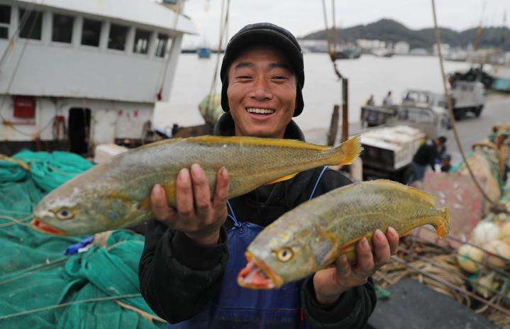 天价鱼多少钱一条,957万天价鱼
