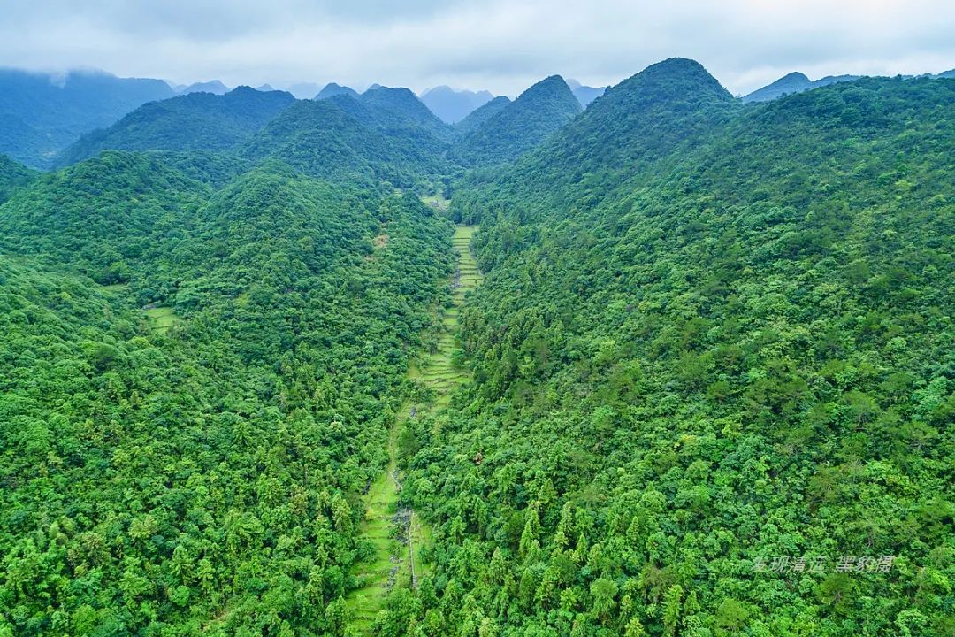 徒步穿越秦岭无人区,徒步穿越喀斯特森林