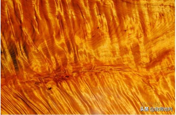 金丝楠纹理鉴赏,金丝楠阴沉木极品纹理集合