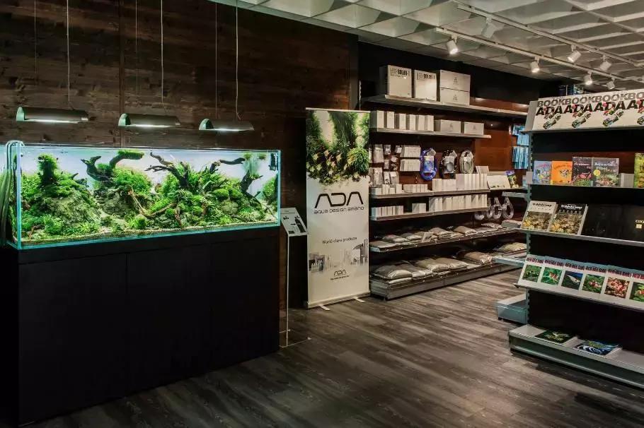 水族加盟连锁店,加盟水族店注意什么