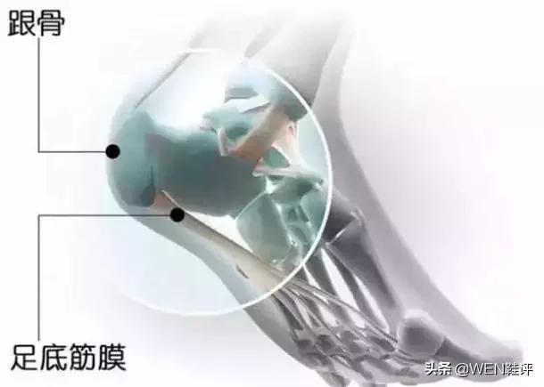 粉丝答疑,粉丝答疑问答