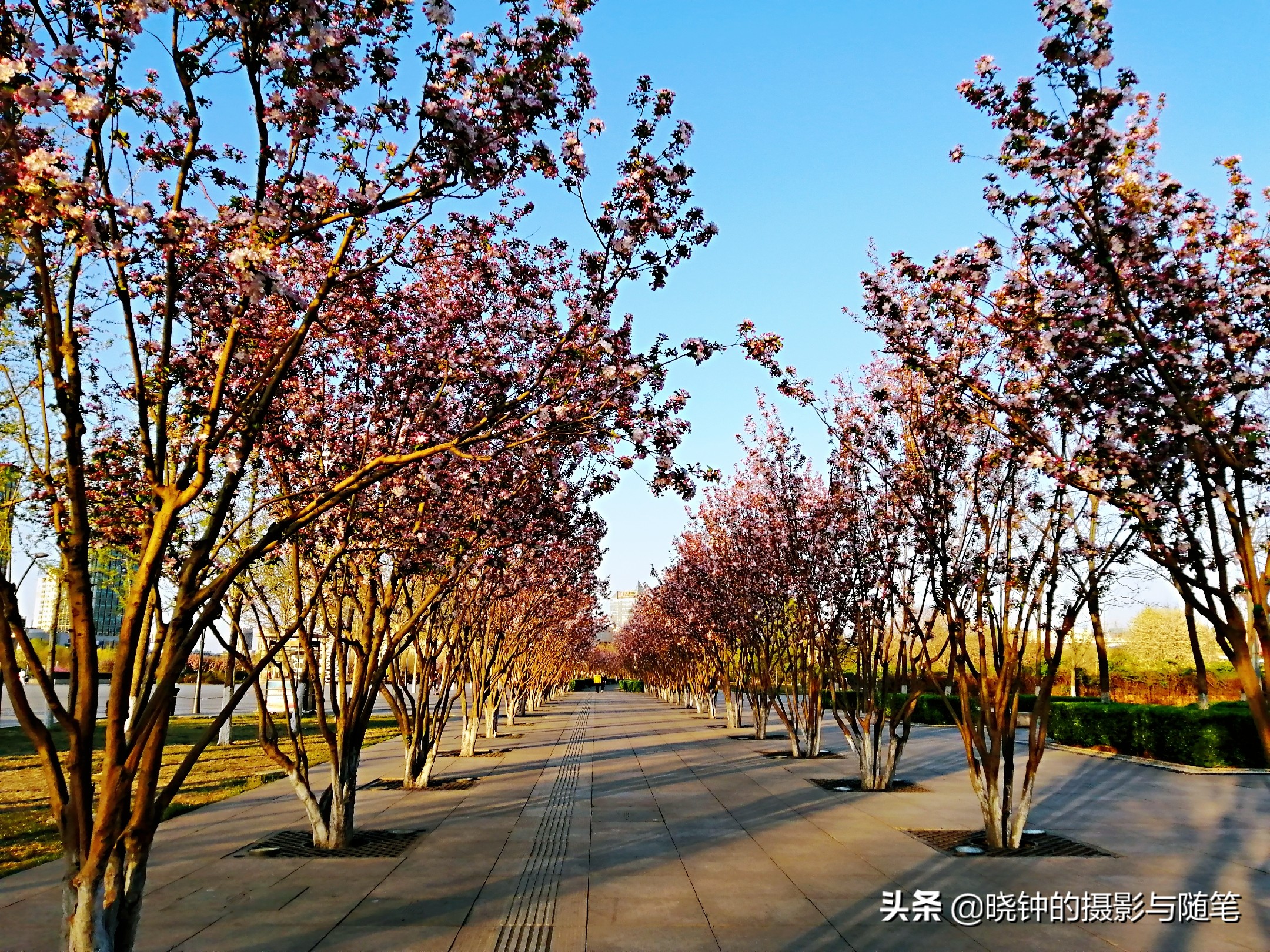 姹紫嫣红的天津文化中心，让人感受到这座城市的文化氛围与格调