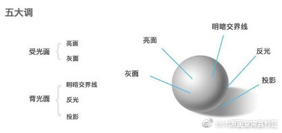 素描干货小知识,素描光影干货