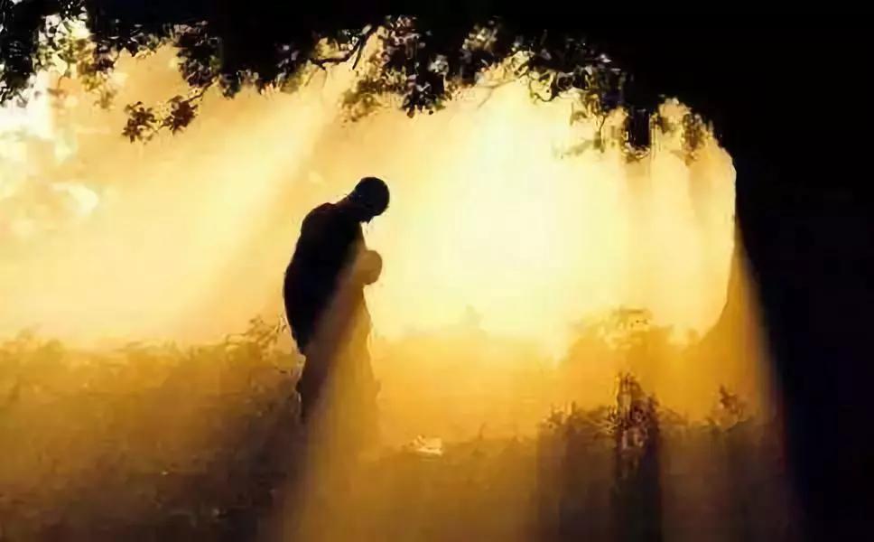 道德经第六十六章全文及译文解释,背诵道德经第六十六章原文及译文