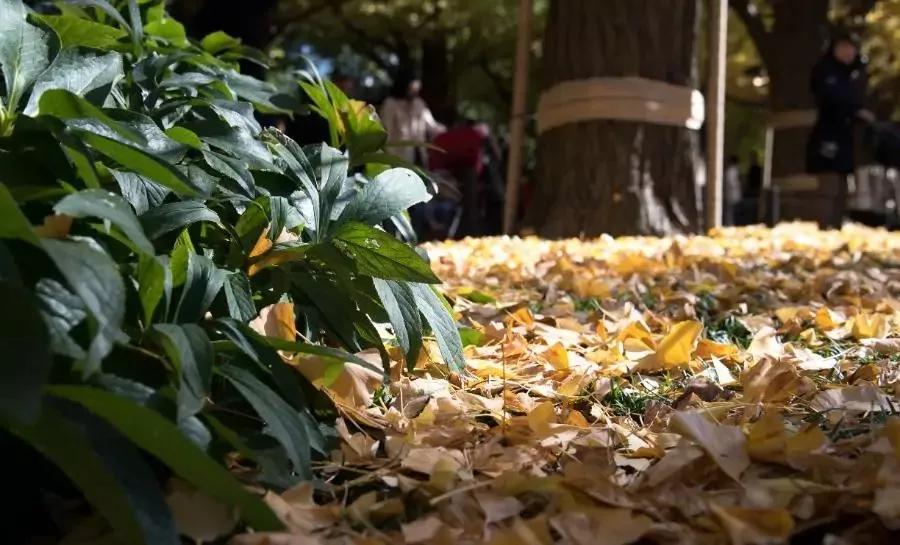 无聊时做这三件事你会越来越好,无聊时要做的十件事