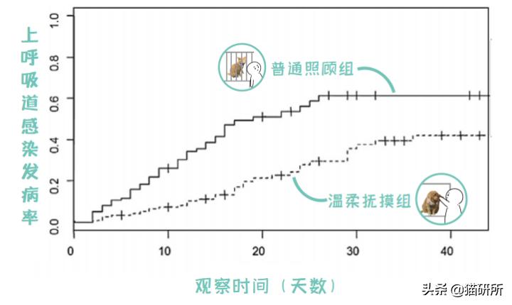 怎样让猫咪远离一个地方,怎么让猫咪远离耳螨