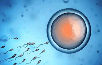 女性20岁生育好吗,女性最佳生育年龄曲线图