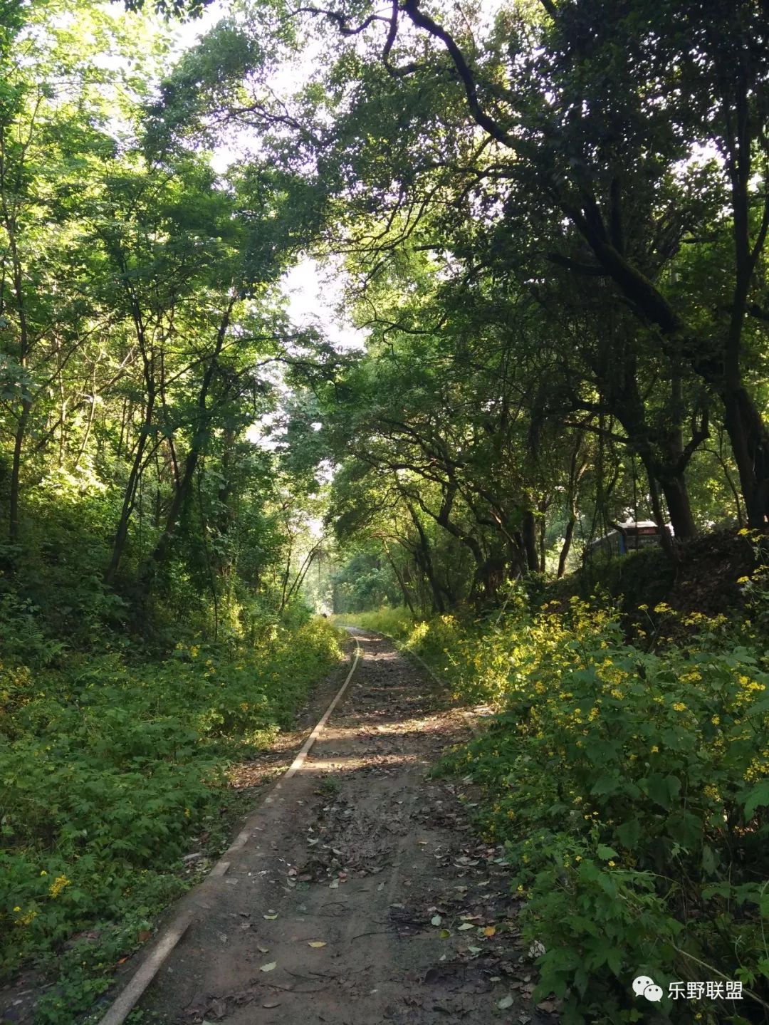 「乐野求生课」6月22重庆游龙山徒步越野报名