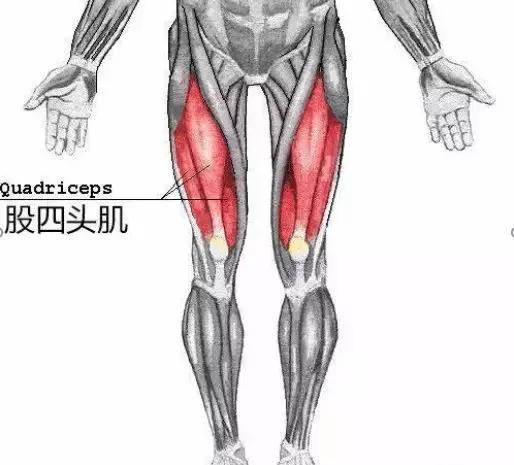 膝关节炎问诊,骨科医生谈膝关节