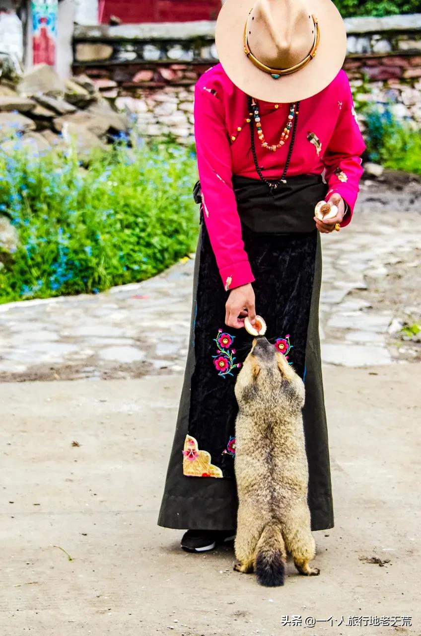 清明旅游一日游攻略,清明旅游三日游攻略