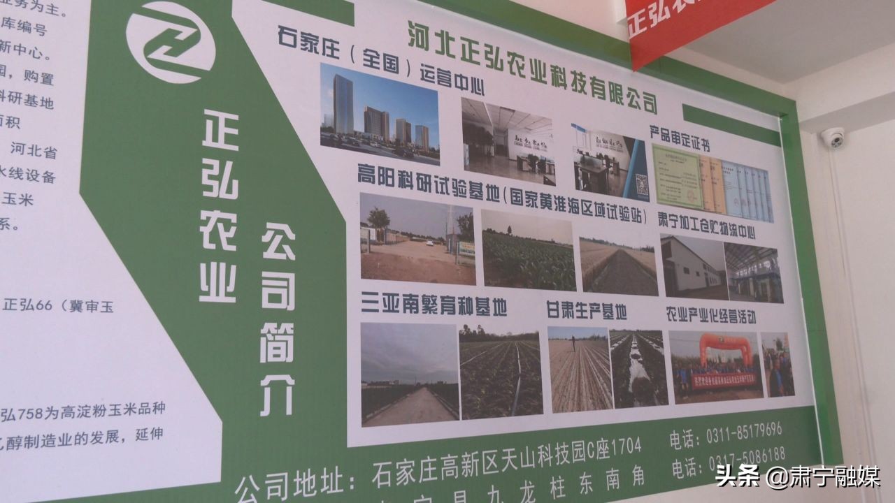 肃宁融媒,肃宁融媒怎么样