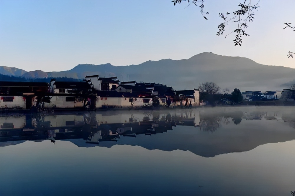 带着狗子旅行推荐,带着狗狗游新疆