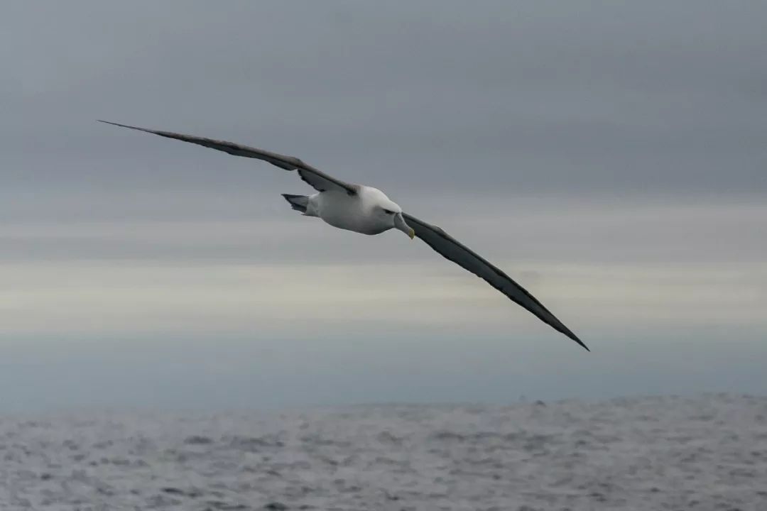 希腊帆船旅行,帆船航海深度体验