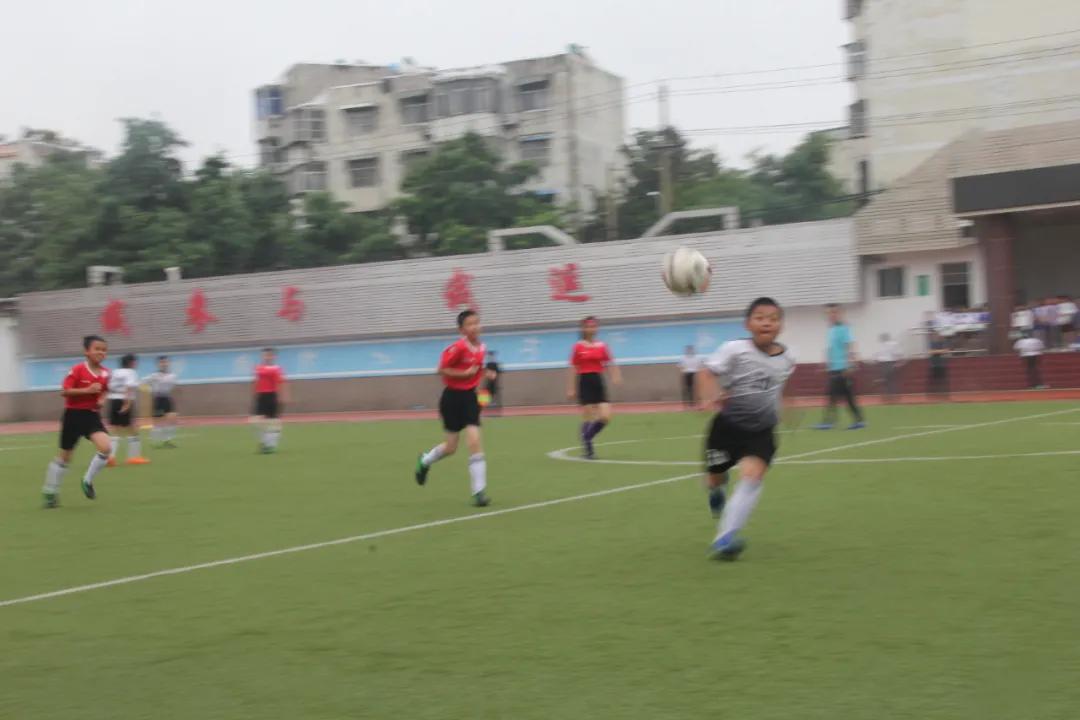 枣庄市立新小学第三届“校长杯”足球联赛圆满落下帷幕