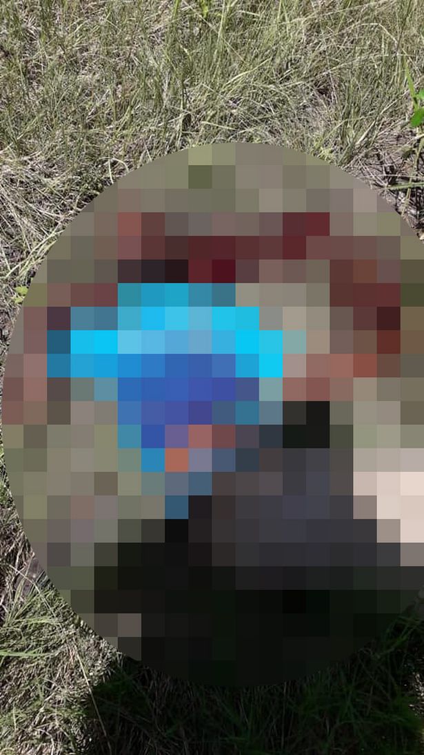 南非男子携大*刀砍**欲性侵孕妇，遭女子丈夫疯狂砍头重伤当场身亡