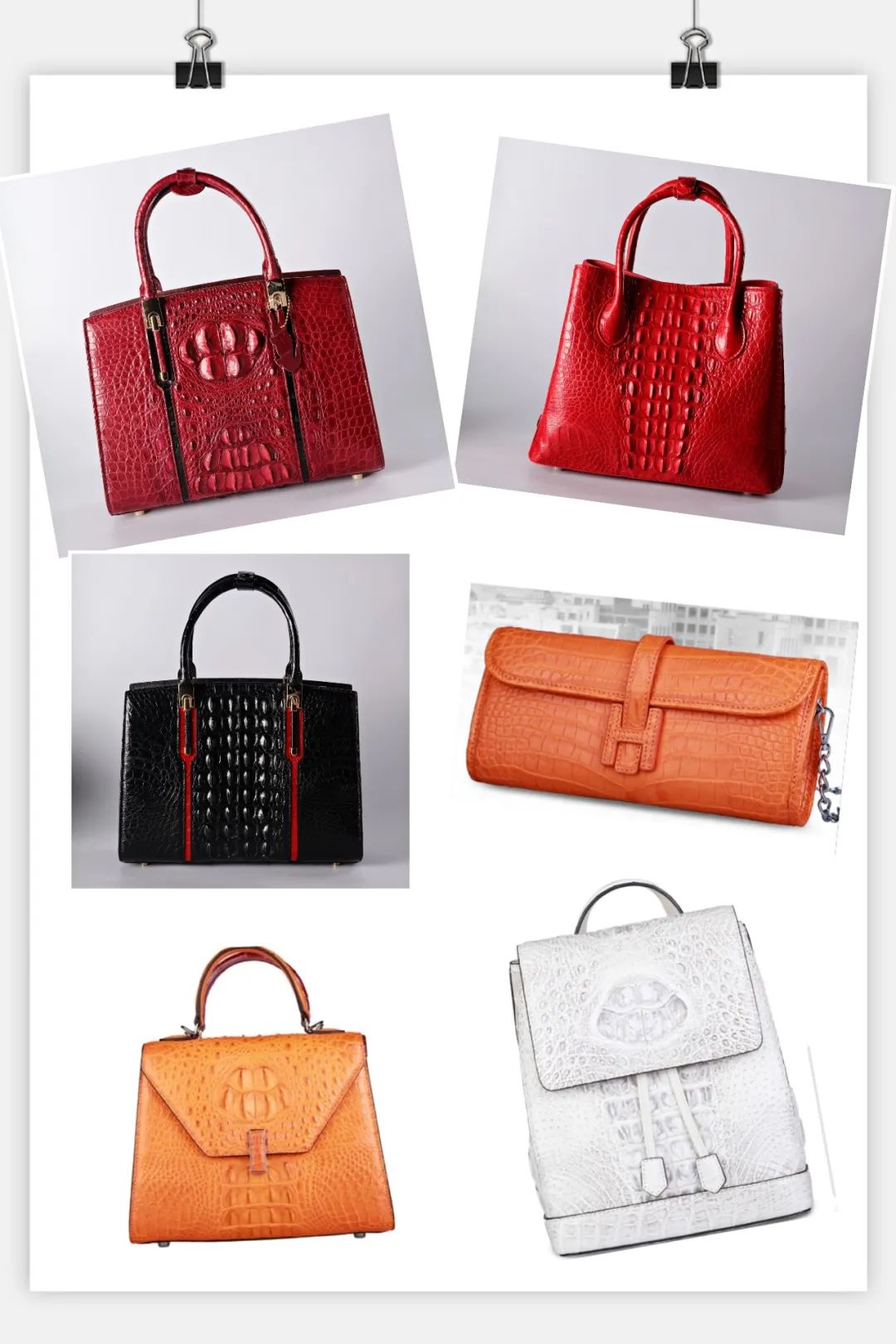 鳄鱼科普知识,鳄鱼皮常识