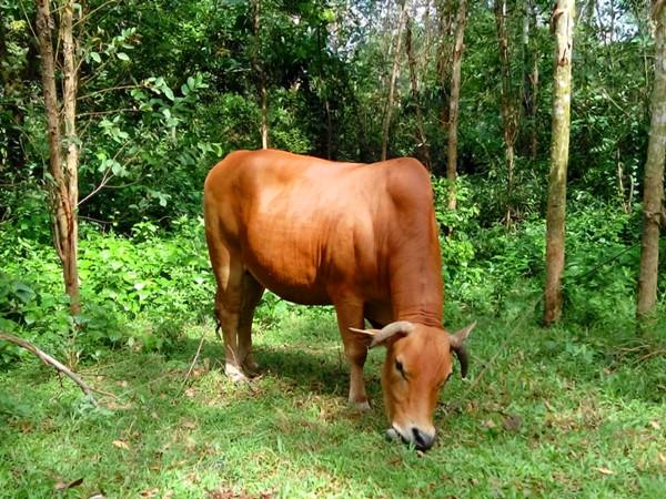 知青往事北京知青娶陕北姑娘,知青往事北大荒的北京知青