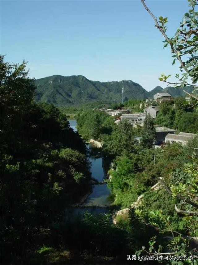 梨木台景林农家院,梨木台景林农家院直播