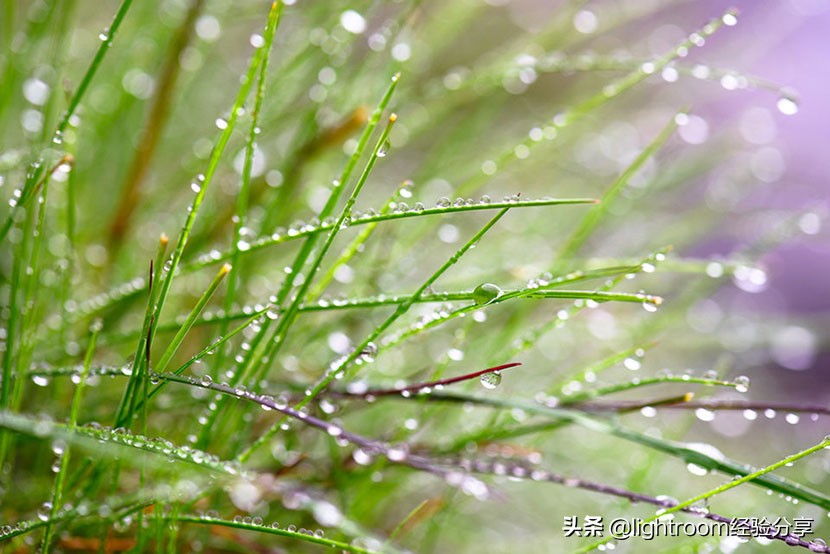 如何拍光线反差大的照片,手机拍的照片光线很暗怎么调整