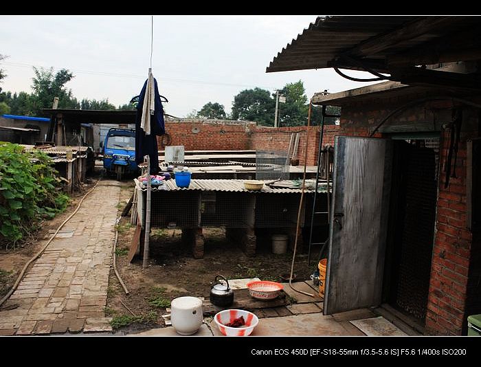 记录农家小院的真实生活,北方农村隐居田园的生活