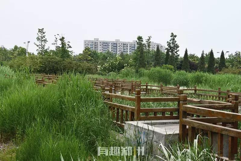 郑州地铁五号线游玩攻略秋季,郑州地铁与5号线沿途有哪些景点