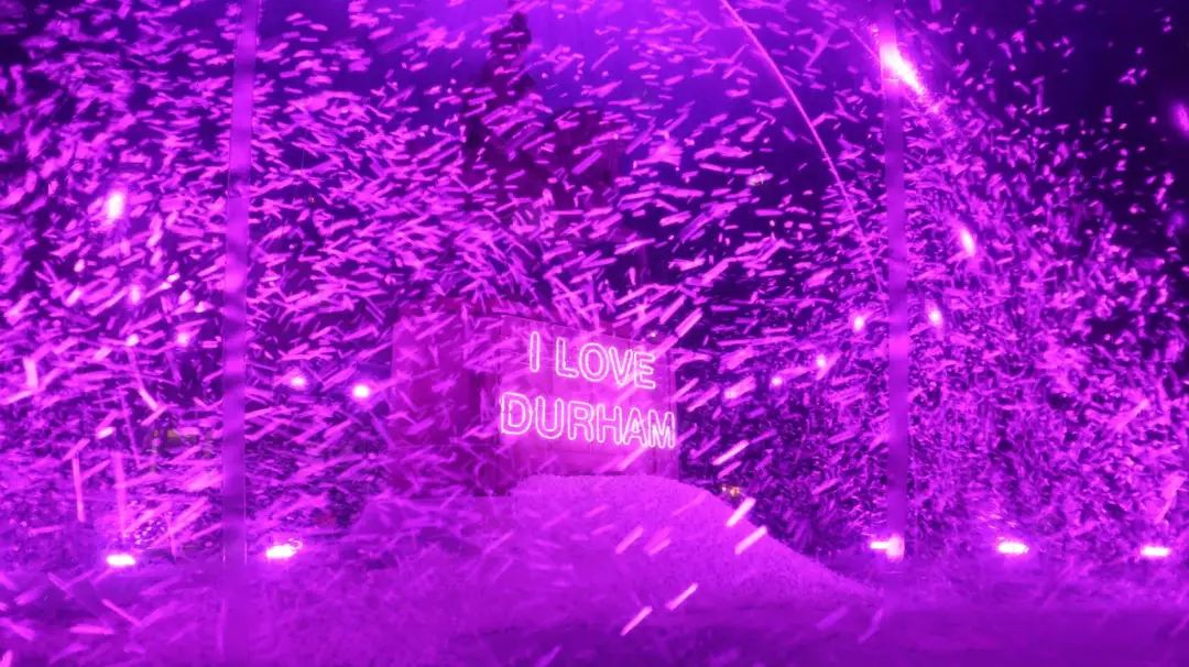 杜伦大学留学一年费用多少钱,在英国留学是什么体验