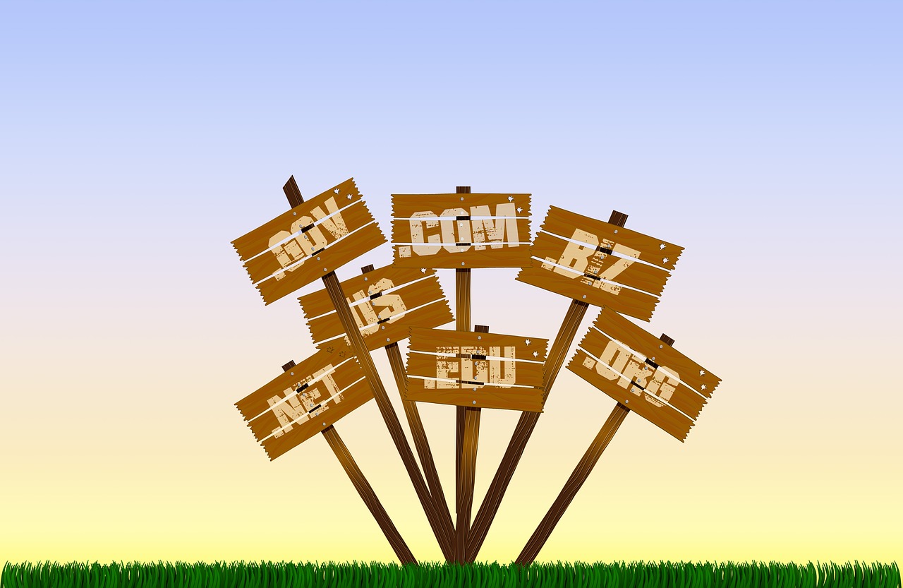 域名被“恶意”投诉怎么办？（含域名答辩思路指南）