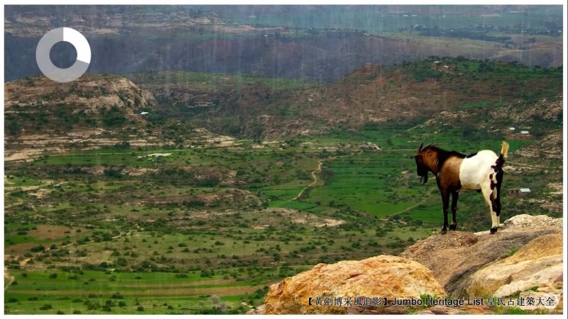 第4292回：魔鬼饮料咖啡烘焙，口感馥郁香气迷魅