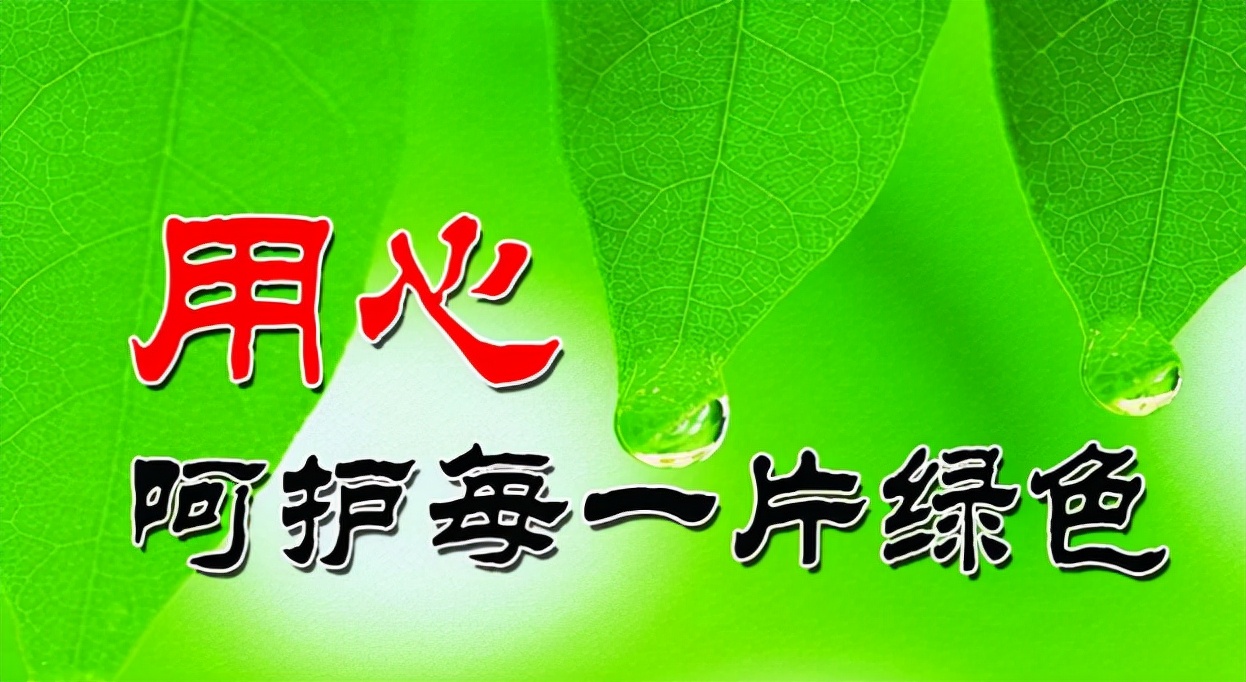 怎样保护环境,怎样保护环境作文