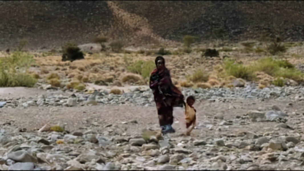 “割礼”惨无人寰的陋习，*害迫**着女性身体，震撼人心《沙漠之花》