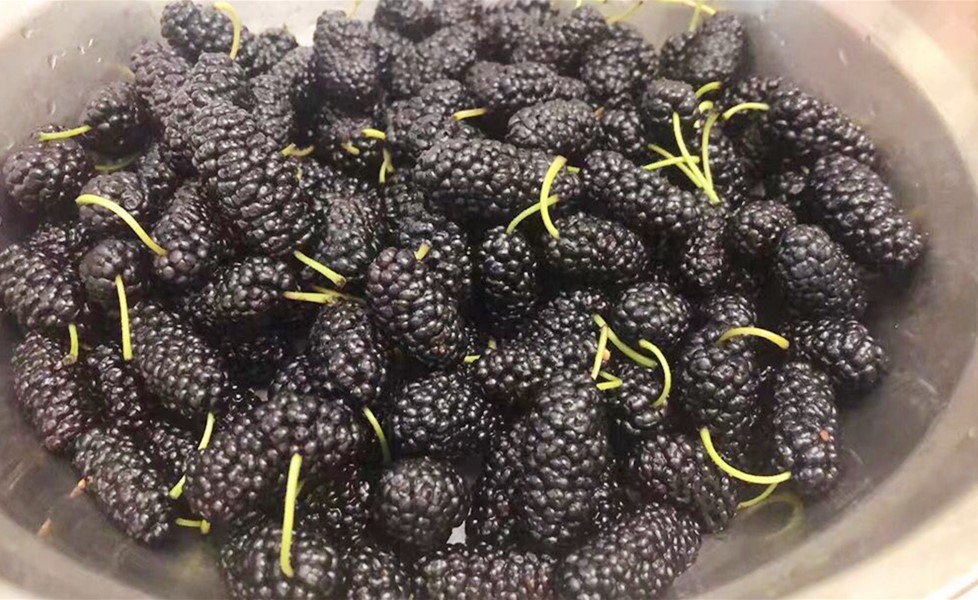 桑葚可以加盐洗吗,桑葚怎么洗能保留甜味