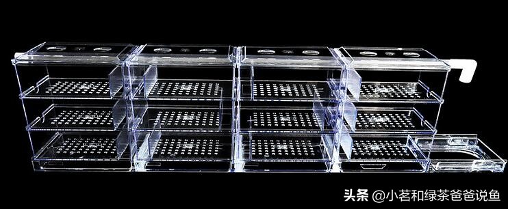 养小型观赏鱼用上滤还是底滤好,养观赏鱼过滤器怎么选好一点