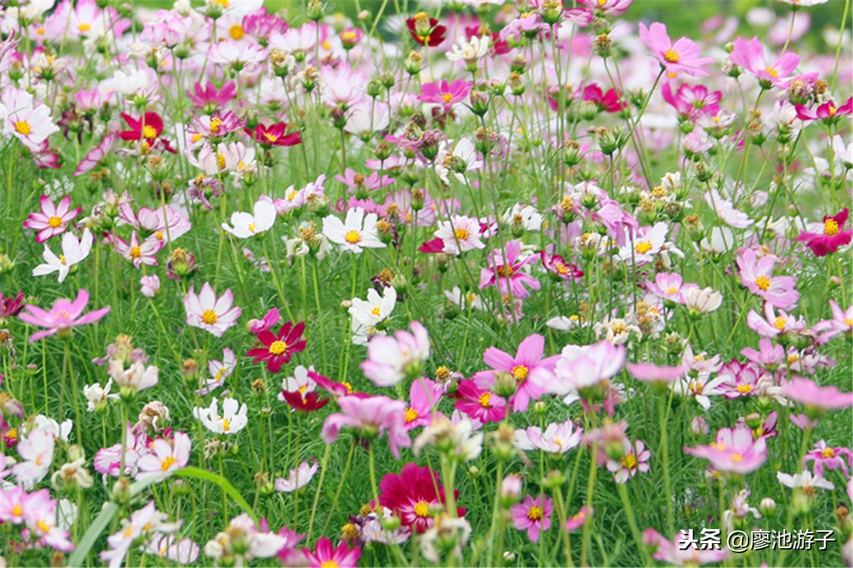 湖北中南部指哪些地方,湖北的风景比其他地方美