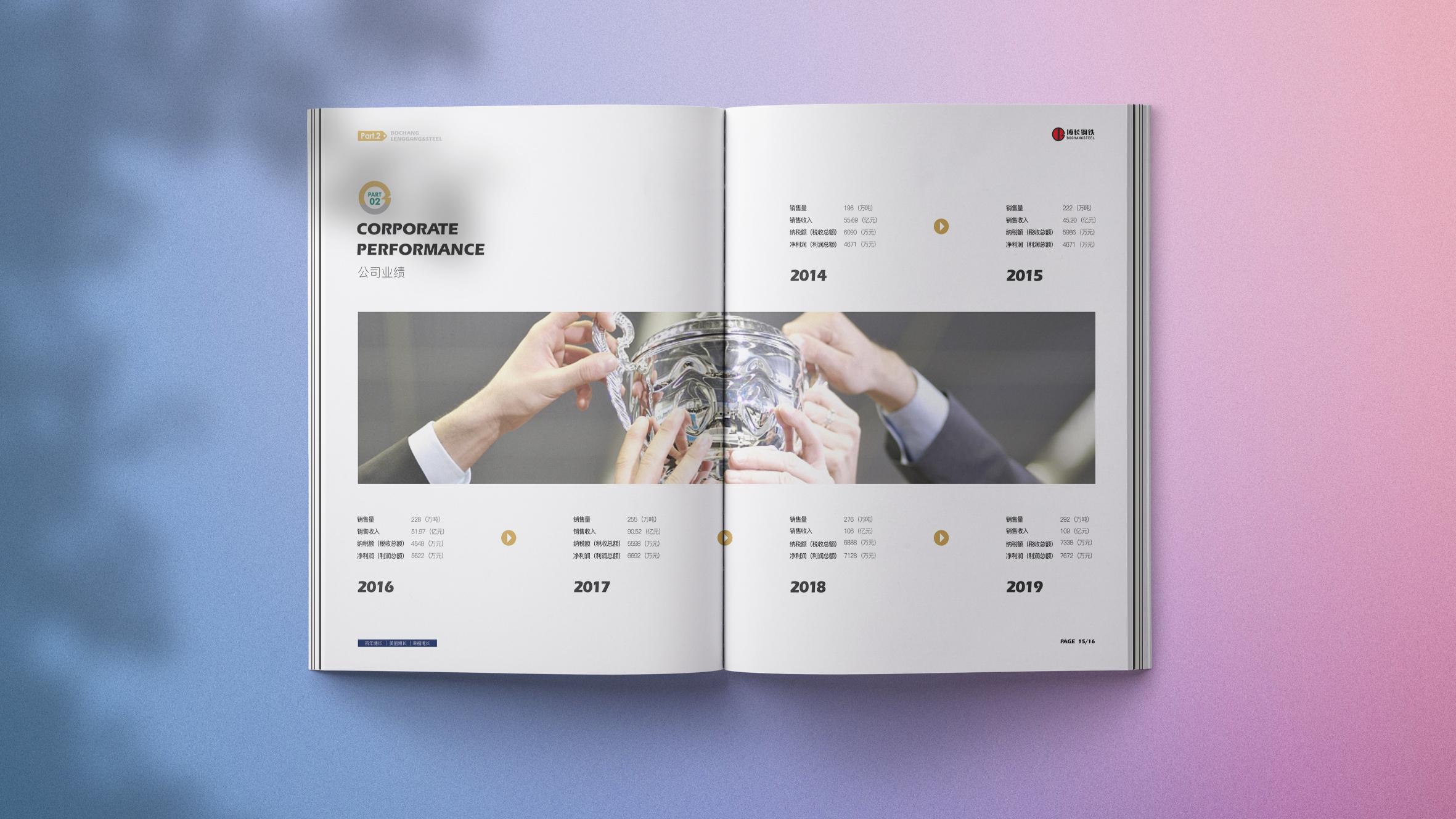 常德博长钢铁贸易有限公司,衡阳博长钢铁贸易有限公司技改