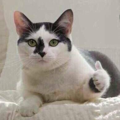 男生必须知道的五个关于*裤内**的知识