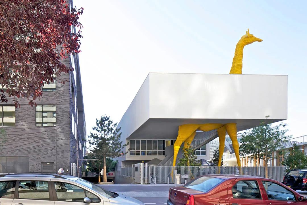 萌宠上阵，整个空间都奇趣了！