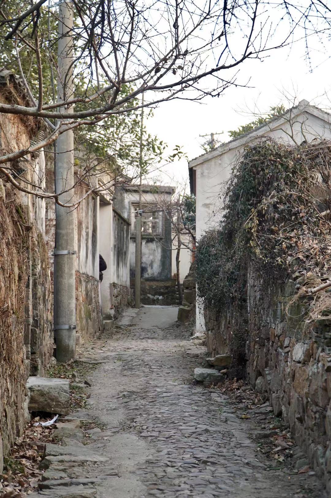 江苏神秘小岛,江苏省内的世外桃源