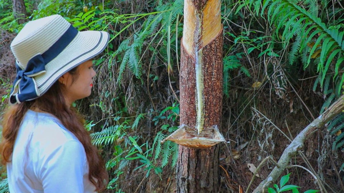 环广西8天游攻略,环广西7天自驾游