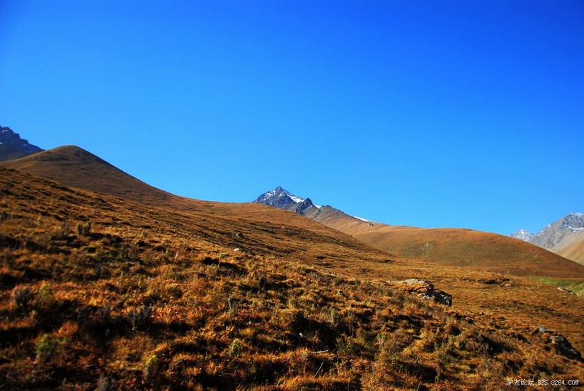 狼c调简谱教唱,狼c