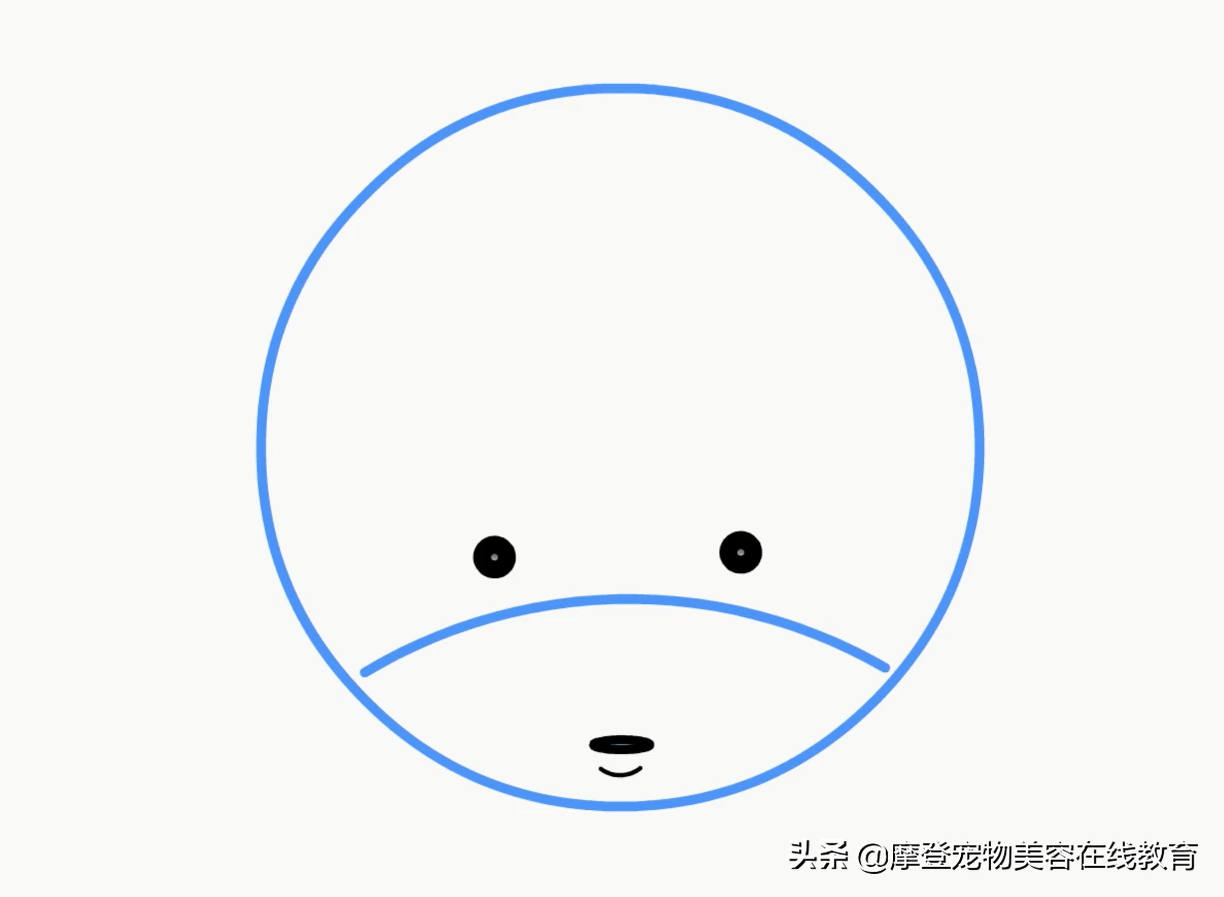 比熊美容教程-比熊犬剪毛视频教程