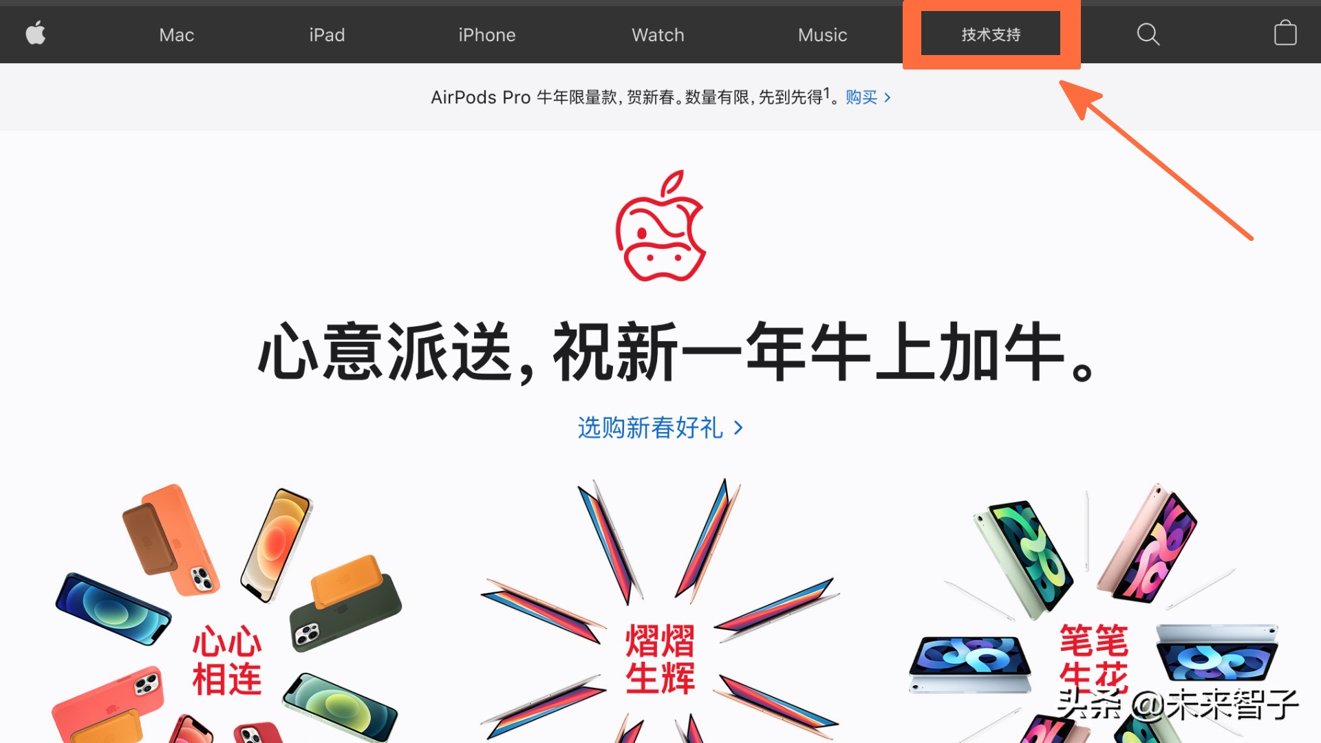 苹果平板appleid密码忘了怎么办,iphoneappleid密码忘了