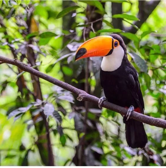 鍗佸ぇ鍏嶇鍐烽棬鍥藉,鐑棬鏃呮父灏忎紬鍩庡競top5