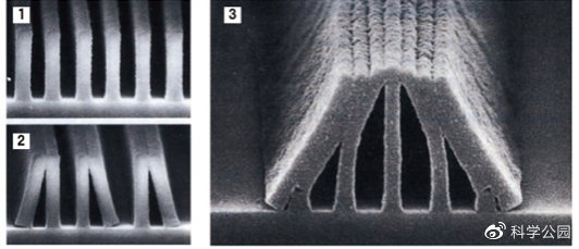 湿头发为什么看起来秃,头发一坨粘在一起怎么办