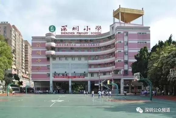 深圳贵族小学,深圳贵族小学排名前十名