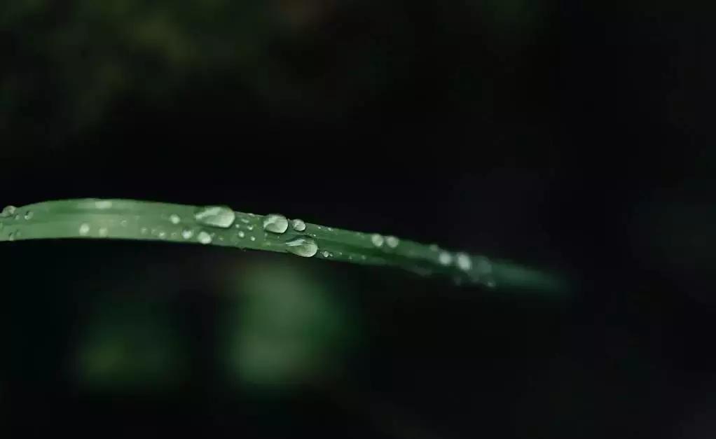 中医刘炳凡,中医刘炳凡治什么病