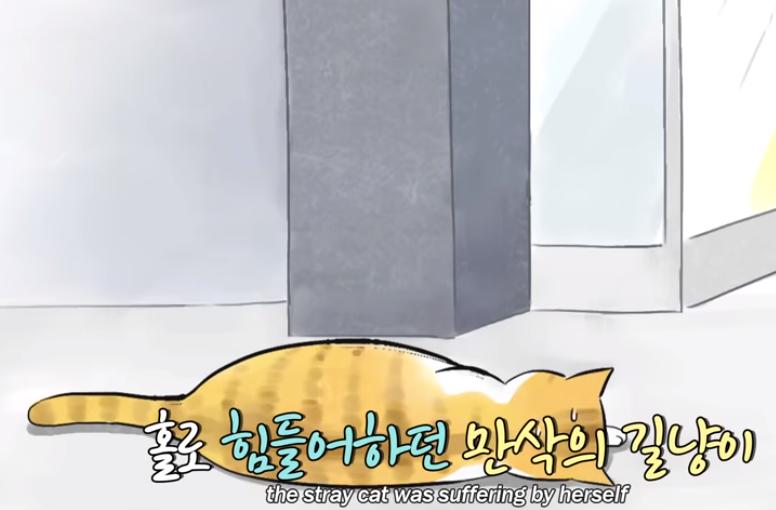 猫冷血无情是什么原因,猫冷酷无情是怎么回事