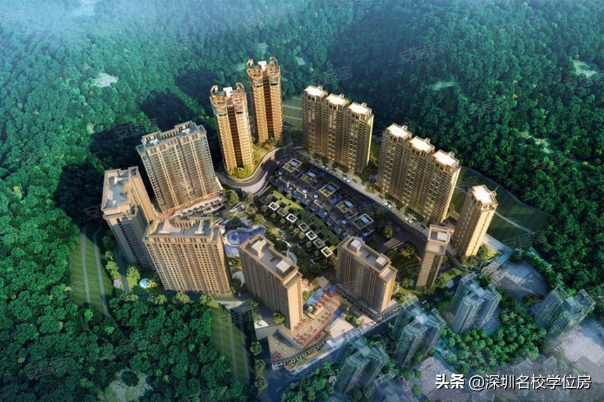 深圳的公办中学推荐,深圳最差的公办中学